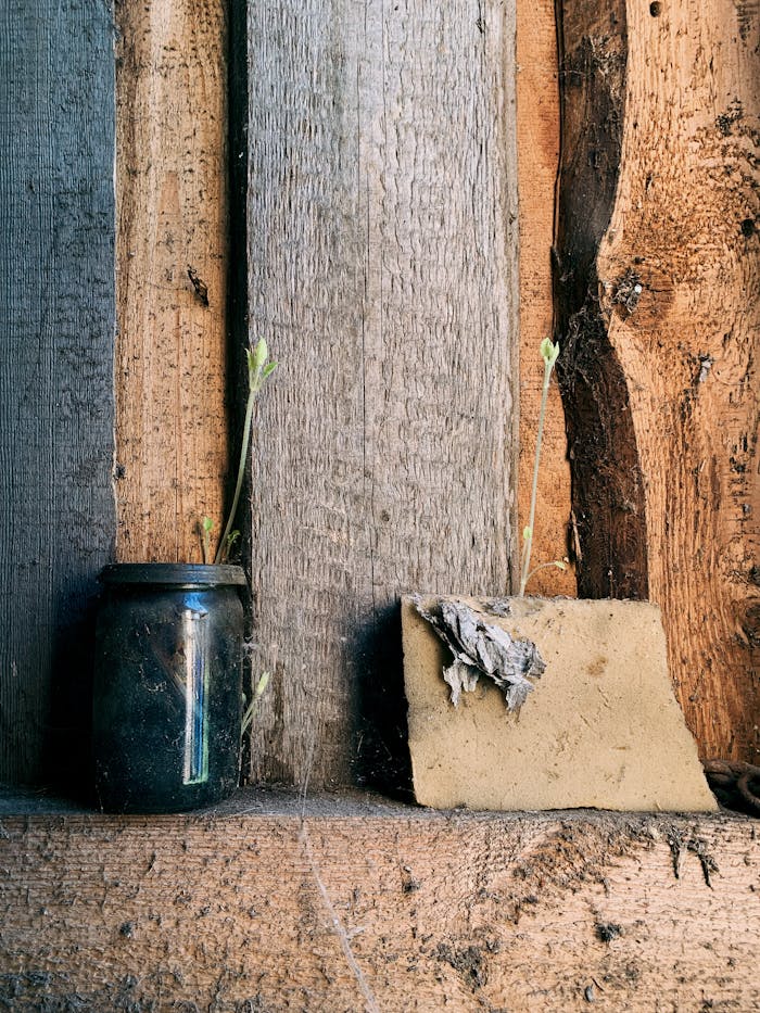 A rustic still life with a jar and sponge against reclaimed wooden planks.